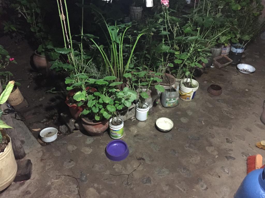 Apartamento Casa Mirita Cajamarca Exterior foto